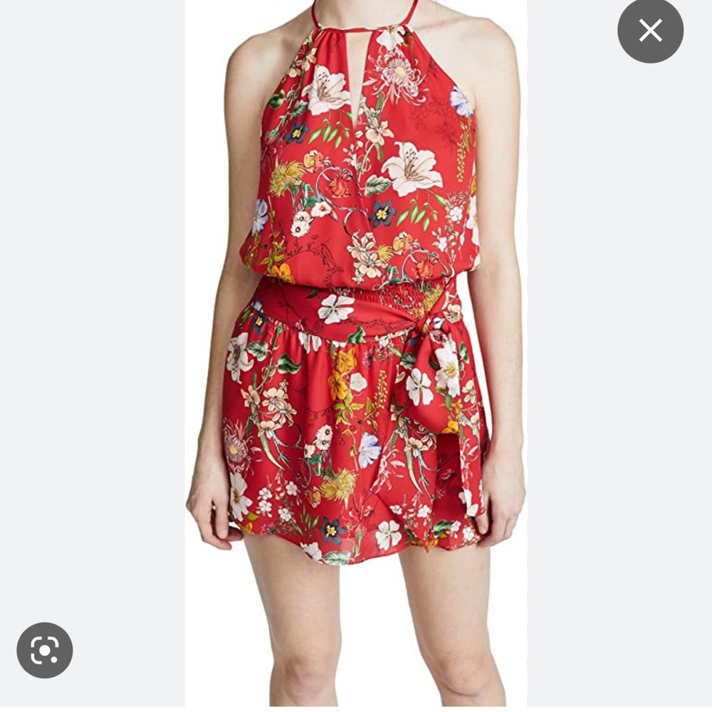Parker Larissa dress